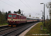 371 003 Kleinschirma, Foto: Mathias Schrödter